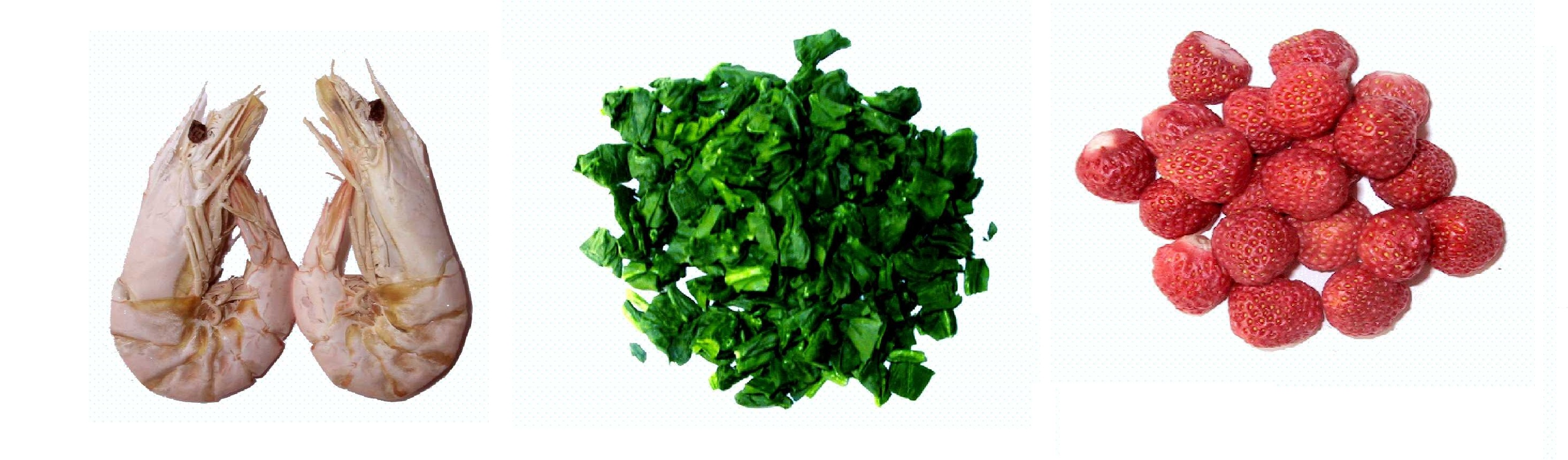 lyomac food freeze dryer food.jpg lyomac food freeze dryer food.jpg